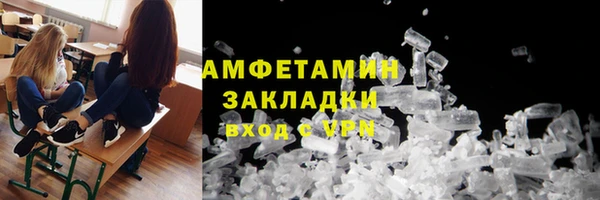 ПСИЛОЦИБИНОВЫЕ ГРИБЫ Михайлов
