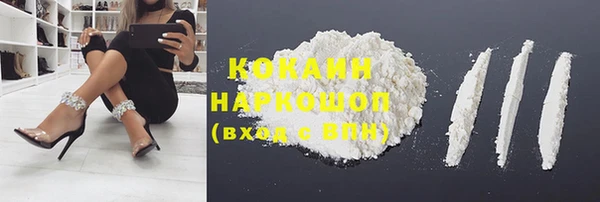ПСИЛОЦИБИНОВЫЕ ГРИБЫ Михайлов