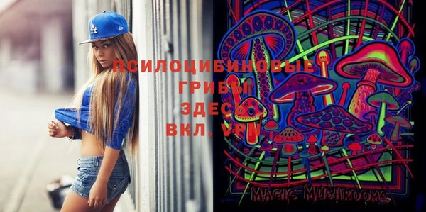 ПСИЛОЦИБИНОВЫЕ ГРИБЫ Михайлов