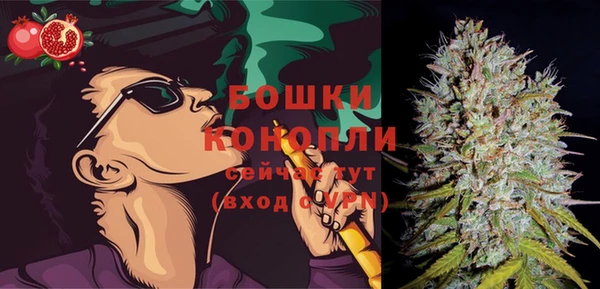 ПСИЛОЦИБИНОВЫЕ ГРИБЫ Михайлов