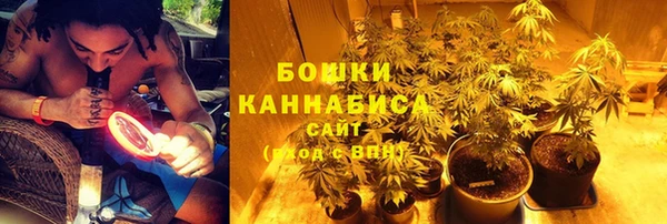 ПСИЛОЦИБИНОВЫЕ ГРИБЫ Михайлов
