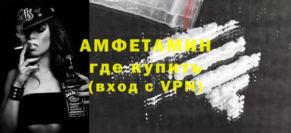 ПСИЛОЦИБИНОВЫЕ ГРИБЫ Михайлов