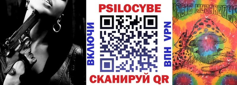 Купить где  Пойковский  Галлюциногенные грибы Psilocybine cubensis 